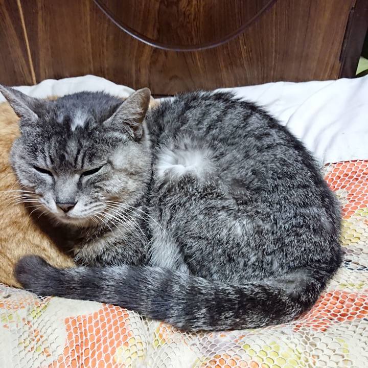 4eb5dbf8 2593 4ee1 bcbe daed09a976a9 1585140303650