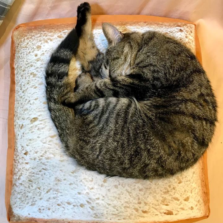 4eb5ecdd f159 4d97 be85 c87ae96955ce 1524749989842