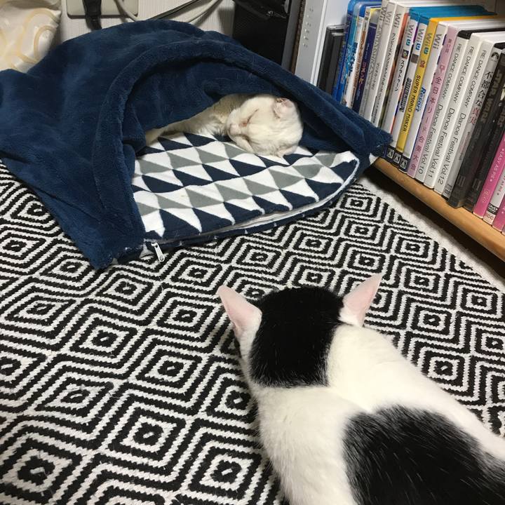 4eb631e6 21c6 4a62 add5 d195f3828d36 1538318648255