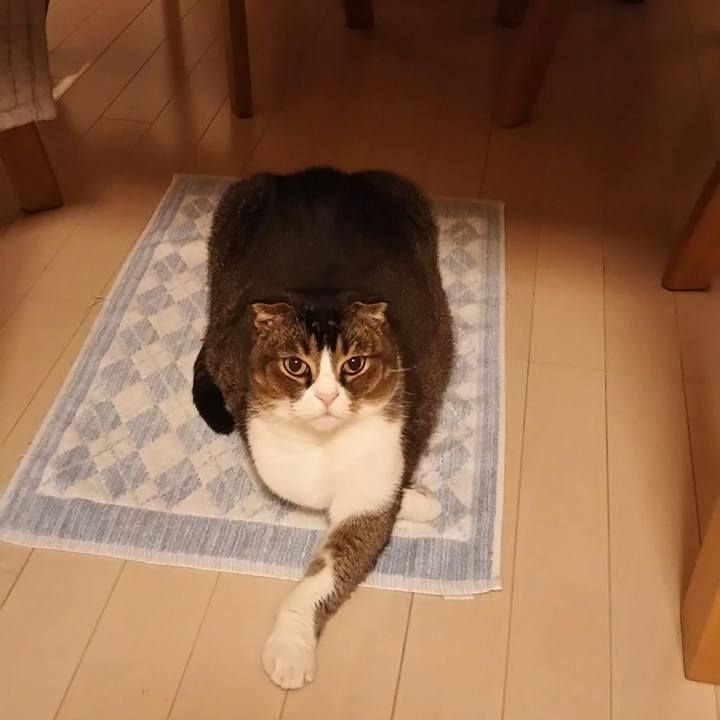 4eb63600 a888 4fce 8cd4 6b9e74f0dbe2 1517748957423