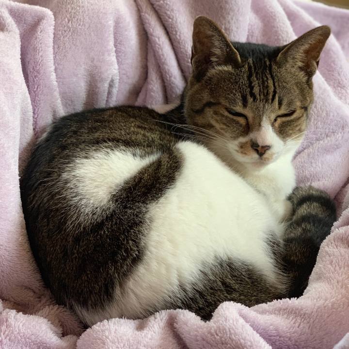 4eb64eb5 f160 4a81 b6a1 606f746a8b79 1551747763920