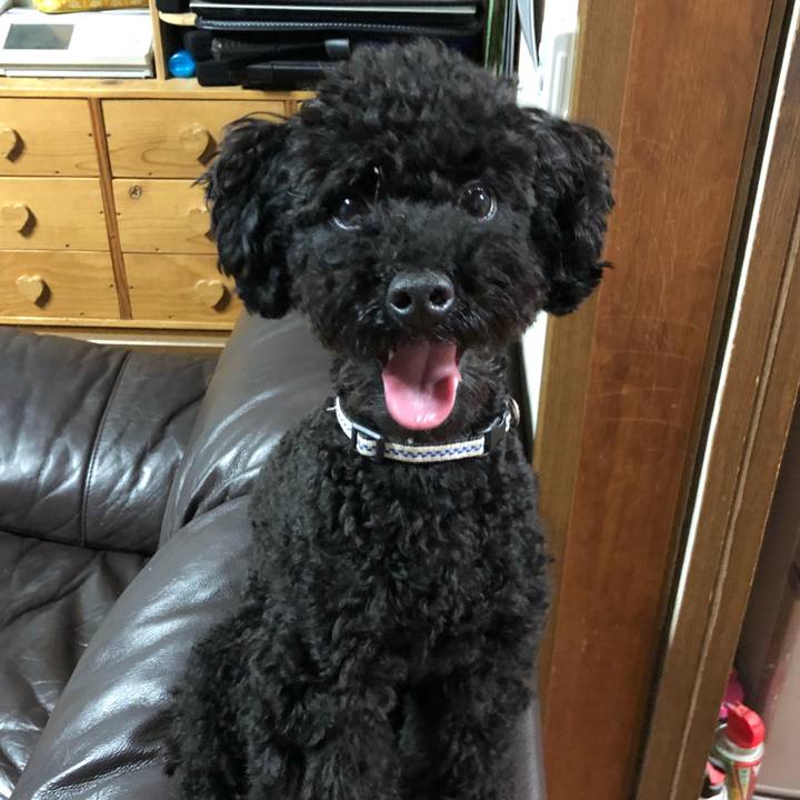 4eb659d0 541e 4cba 9fb3 4f99d1c95409 1530179790286