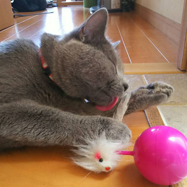 4eb65dc8 5595 485b 8fc0 4c030f91b77a 1529637456445