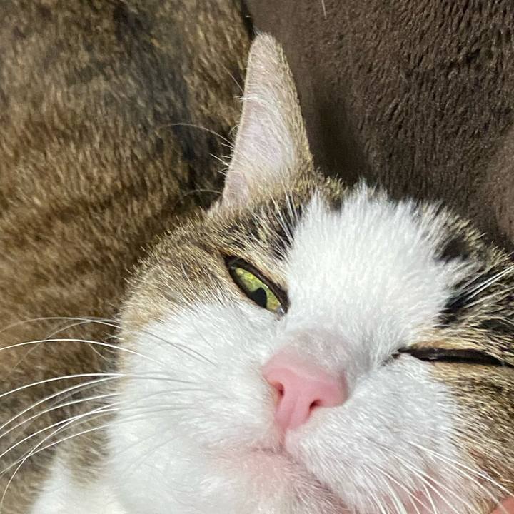 4eb687d2 d456 46fb ba18 c1e1ff8828f7 1582283815731