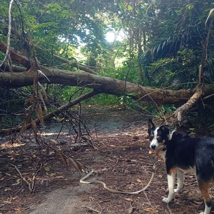 4eb688b7 cf02 4eeb 8003 e0a15f9da522 1753105808682