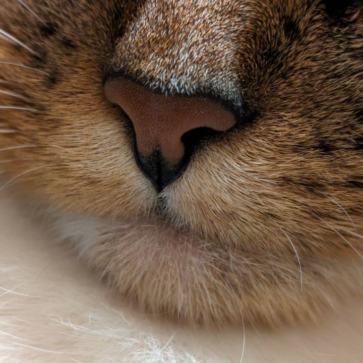 4eb6b353 a314 4c93 b1b9 bb53fc253570 1695291150784