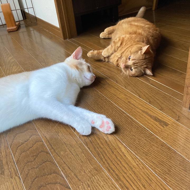 4eb6c83d 287b 4755 ac83 2338f3bfdf12 1663854681385