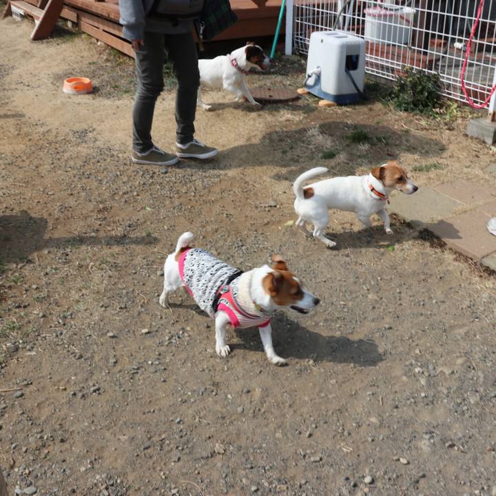 4eb6caa9 85e3 4549 bf52 0205956667a8 1519562701232