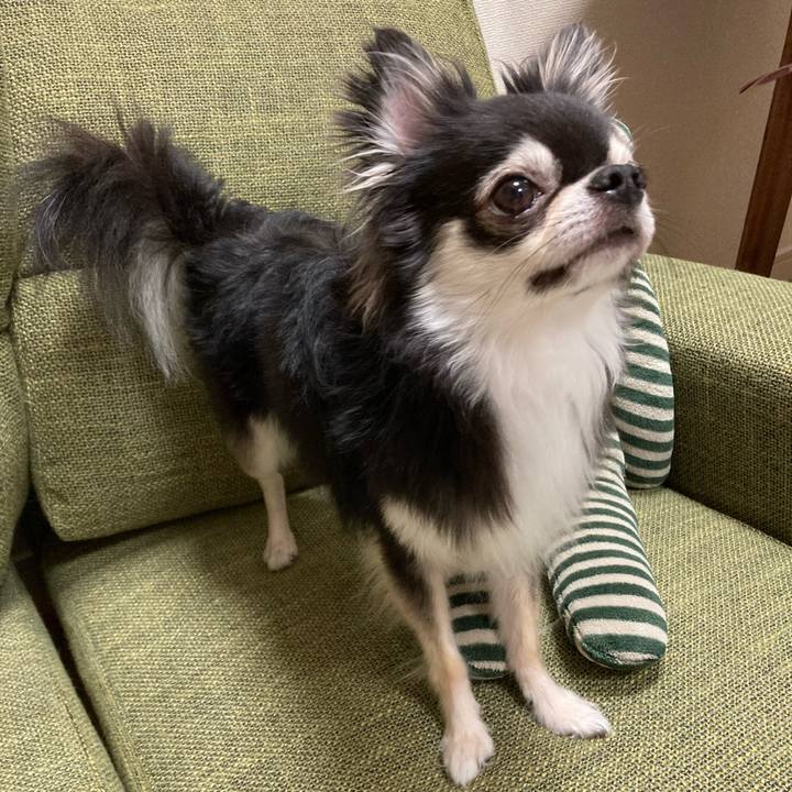 4eb6d666 a184 4f97 9147 691eb95518d9 1661696985294