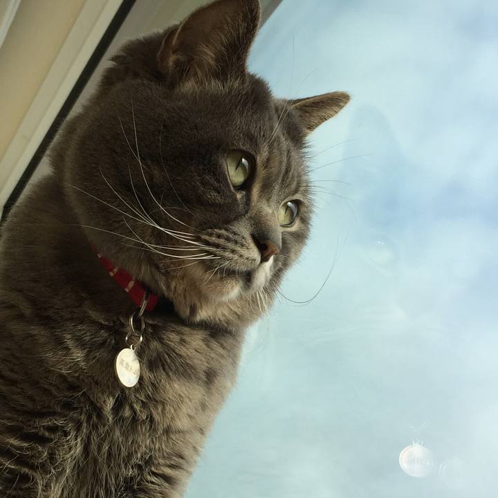 4eb7344b 8124 498a 9f35 75cbbd23ebec 1527890142511