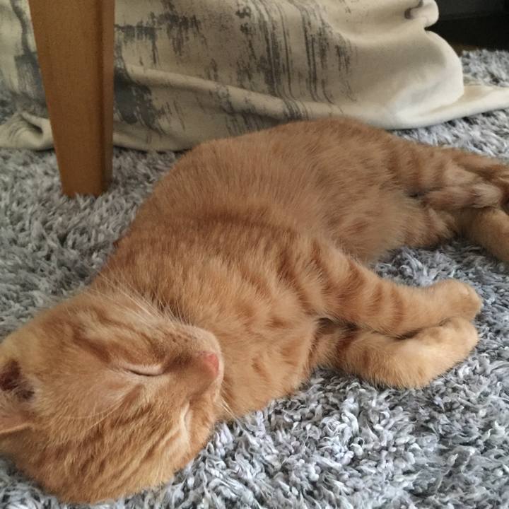 4eb74272 60fc 4f2e b234 2d6e17c3b737 1511622206549