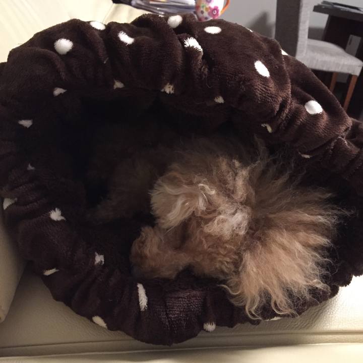 4eb76420 42f0 4726 9666 4356bd8113d0 1507896041345