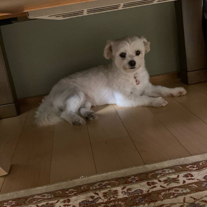 4eb7817b 7514 4433 8ca4 4a4f742cf69e 1597493170402