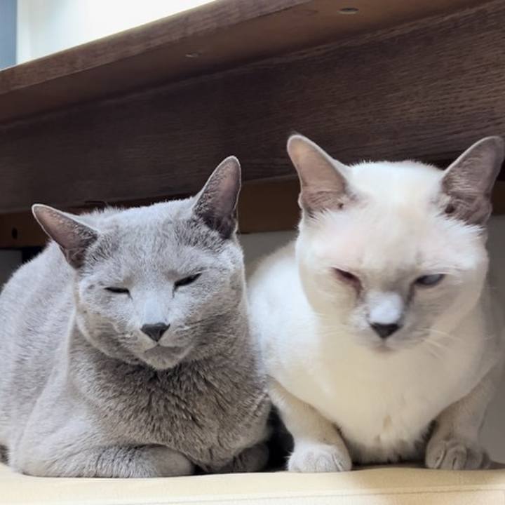 4eb7a8df 2f8d 4598 ad3b 46f9aae5250b 1738152902031