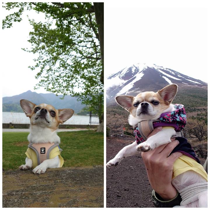 4eb7d868 9b6c 4f53 9eb9 f9e5e919b302 1714439206235