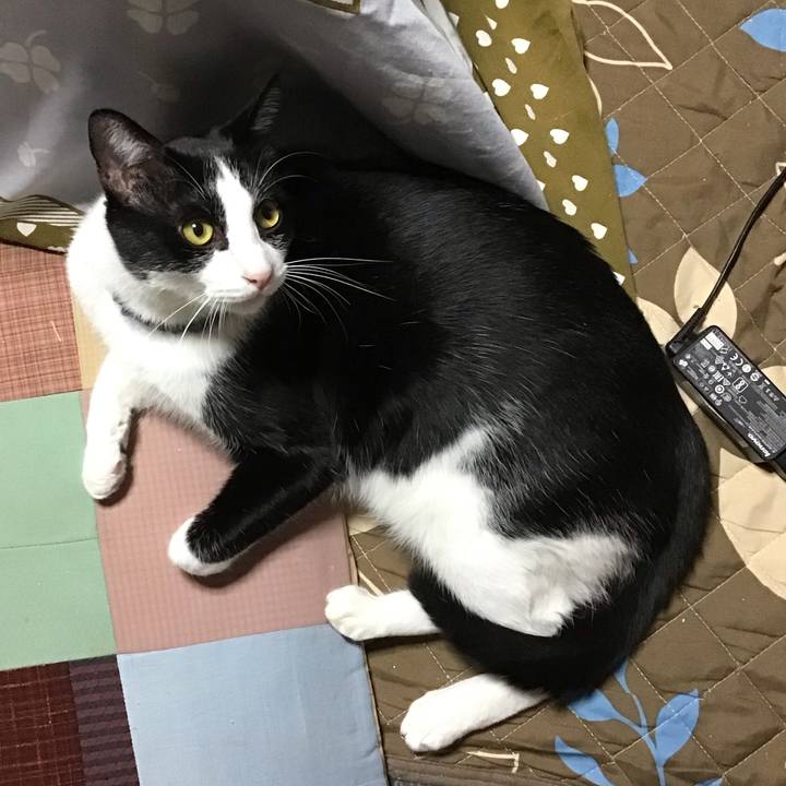 4eb7df94 d252 4d58 af1c ef03995a9e2f 1666697017382