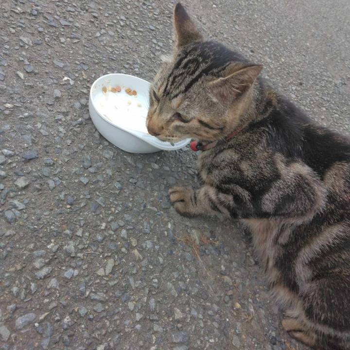 4eb80746 f75d 42a8 b1e6 ac0da2505549 1693701288562