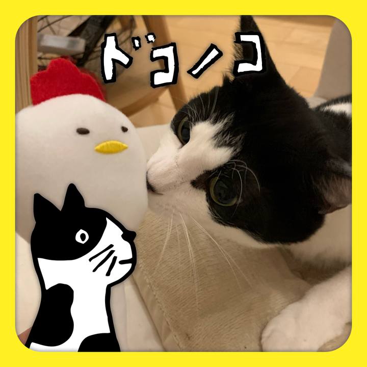 4eb8331e b942 4685 bf10 a32762d74d33 1623757054472