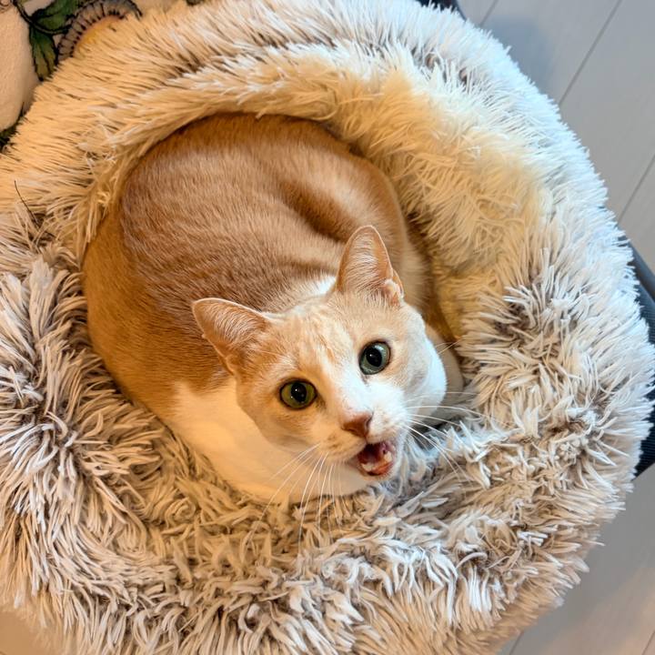 4eb84b59 487d 4111 9c93 1f7df65f2934 1773359041148