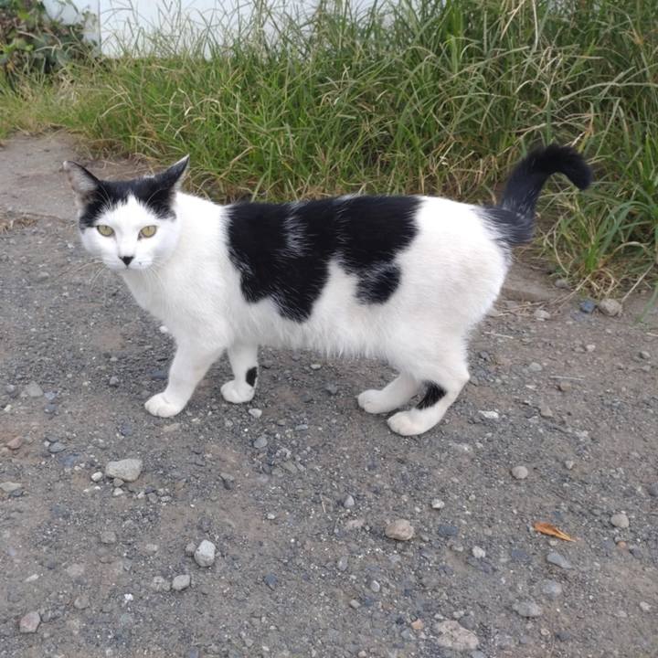 4eb8d5ca 4921 4661 8eeb 6b6348a91c86 1759189746937