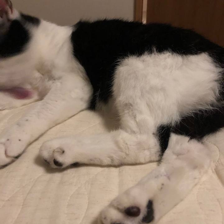 4eb8ebb7 90c0 4386 8394 9430ba3fe09e 1562355143494