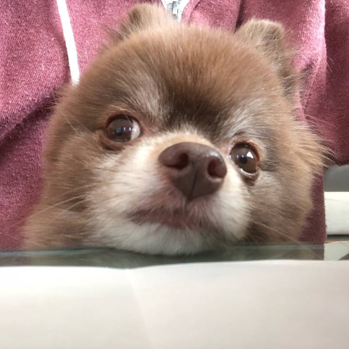 4eb8f610 0fdc 4825 8138 11d9565891c1 1578535916786