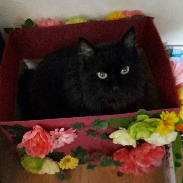 4eb8ffda 1252 4776 96f4 1742fb540ca9 1533325707106