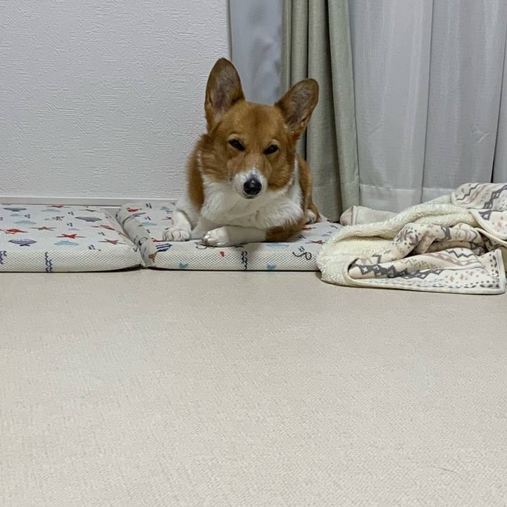 4eb92012 b274 459c 9094 c61306fd6ad4 1697542435132