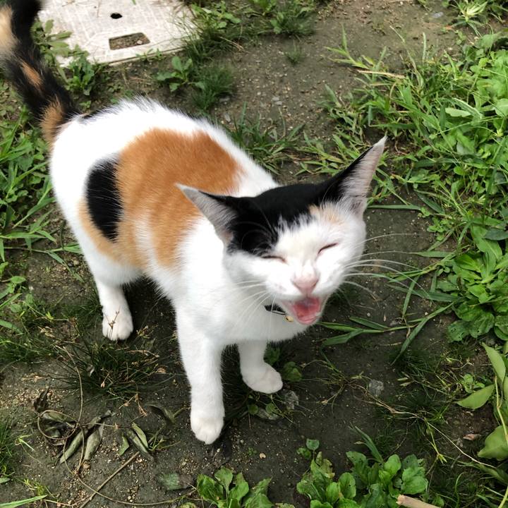 4eb924dd 88d9 4da3 9510 61f53ac74611 1630706293350