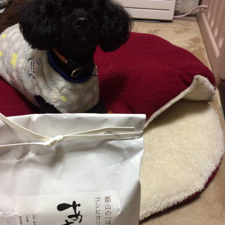 4eb962c7 1104 4e27 bbbd 8c26008ac0a1 1512698536851