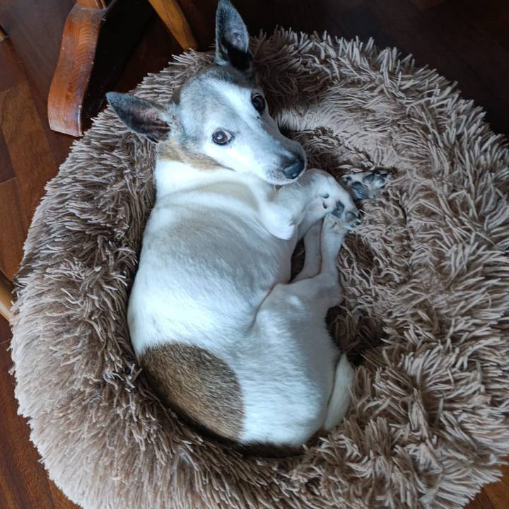 4eb96cac cd6b 443b 88cd c9407b5107e9 1761474604128