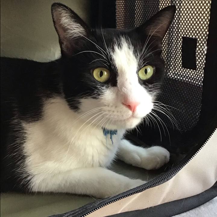 4eb97f43 b60b 41c3 a8bc 7811378c292b 1757154764903