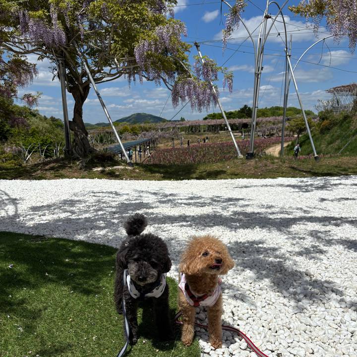 4eb98093 fe83 4042 a15f b90802f0a438 1746859873776