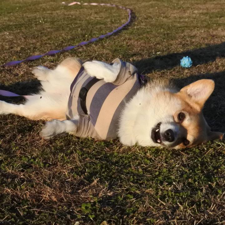 4eb9b529 0330 45e4 95ac 9ab5d8070e98 1606734180640