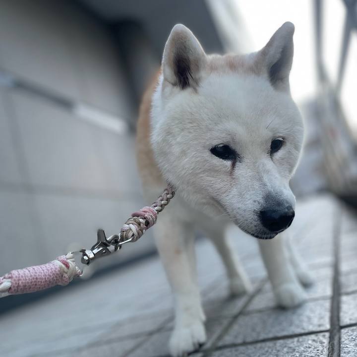 4eb9e2ae 2b81 4e52 b300 b3b396795251 1756894341605