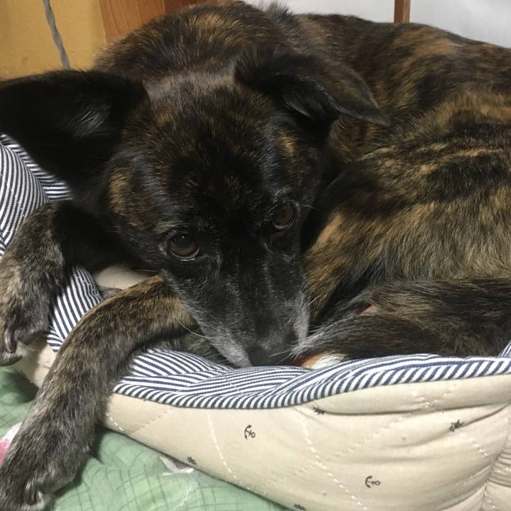 4eb9ffe1 4ddf 4545 af8d 808fd2b5021b 1546096482782