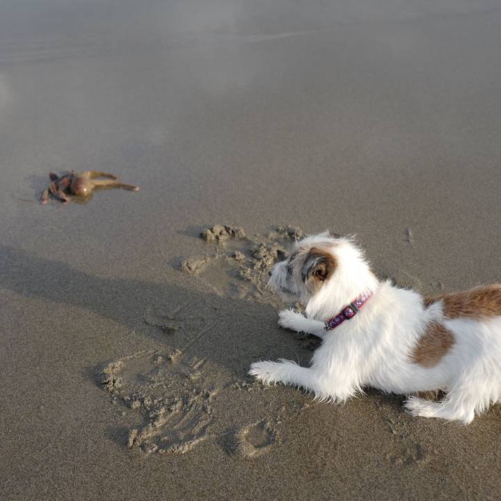 4eba3db7 2fa3 435a bef3 db3f5f83cabb 1508817622360