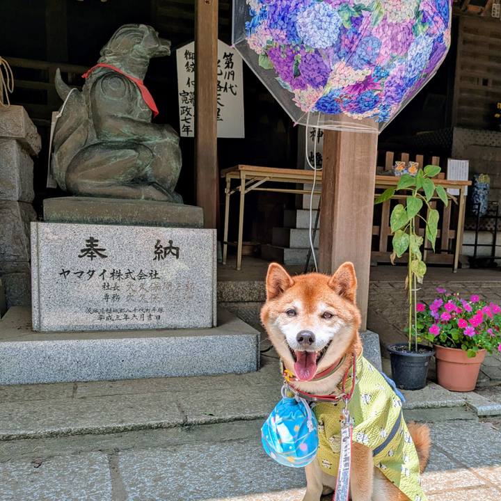 4eba5051 0ae4 4c57 842a ac35ea6b47e7 1751797487838