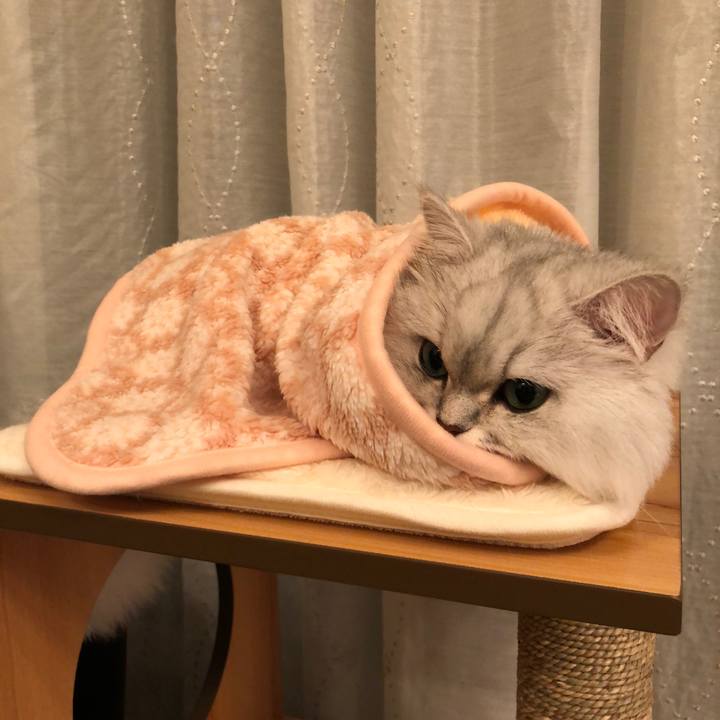 4eba912a 6aea 417e 9957 d5440360f933 1523269325201