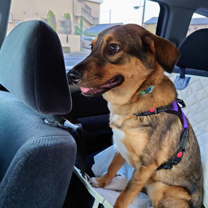 4ebaa7c4 474a 4dc6 9efb 547b15986f32 1690713594824