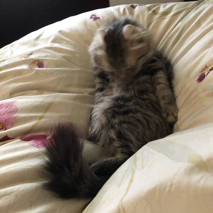 4ebb2265 3a55 4cc7 b309 4ddf68bfe4c6 1524957978431