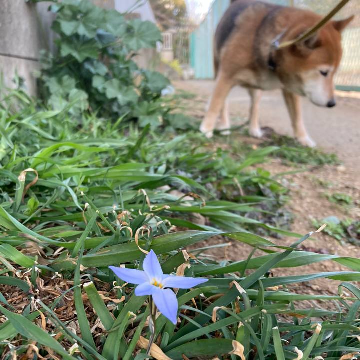 4ebb2846 20cb 4f7e a663 6eb07ad83921 1646810952243