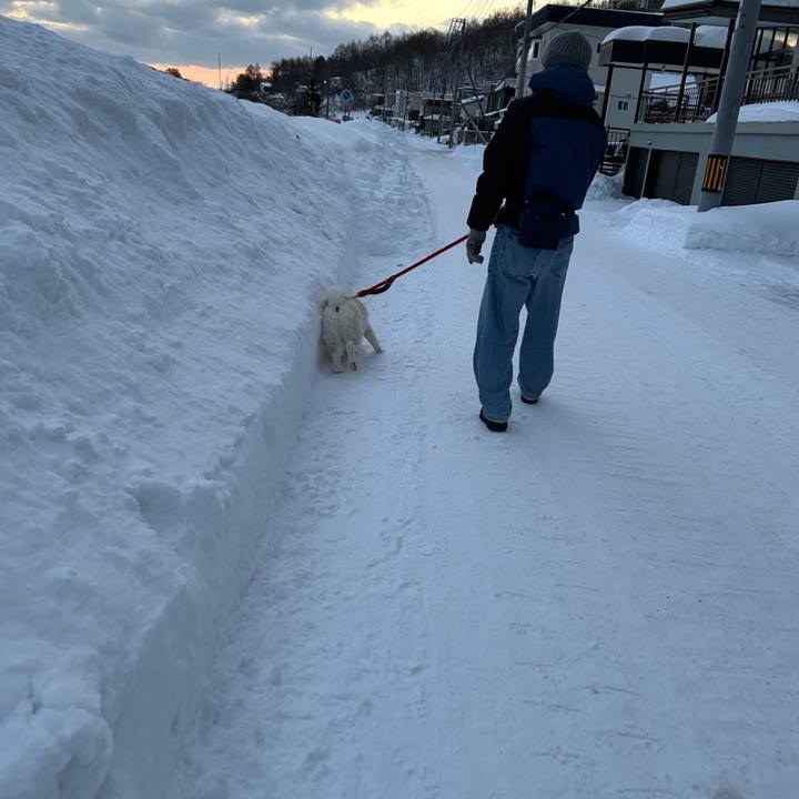 4ebb35b3 043c 4c78 b088 40c0df87f015 1768517046252