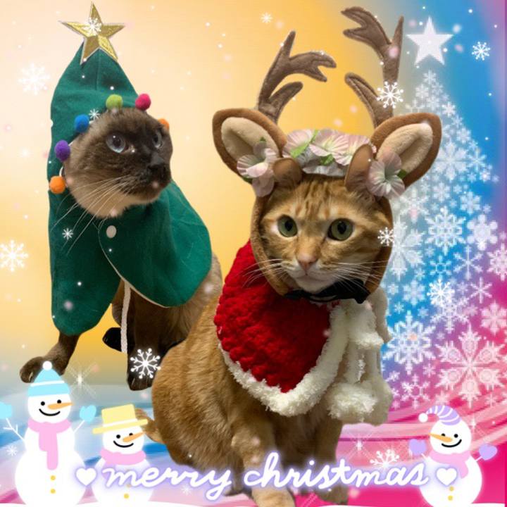 4ebb6671 95c6 4ee4 a904 200675cc079e 1608763753899