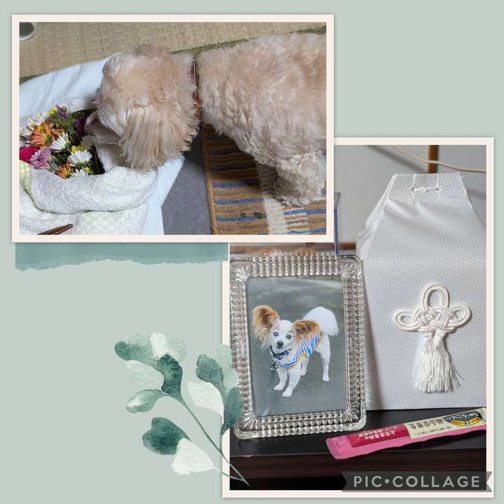 4ebb6c60 9ffb 4305 81c6 dfd48d6ade9d 1761648436458