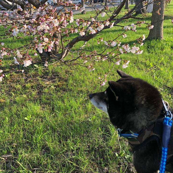 4ebbaf96 6bce 41ac 866d 01020e4c5ad9 1556925334231