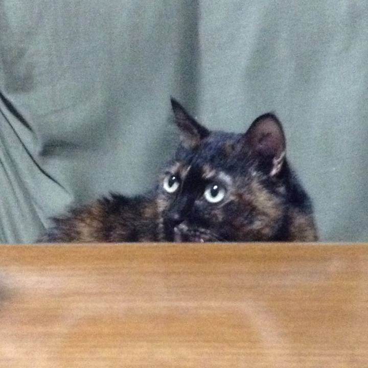 4ebc0500 34f4 449b afbf b84c1ac27256 1518005083173