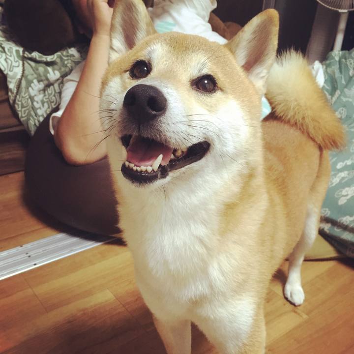 4ebc1dae 5d84 42dd ad92 3b1fe4562acc 1532351068822