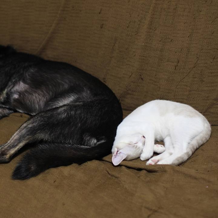 4ebc53f1 863b 41bb 8594 483efef5ab04 1602027718104