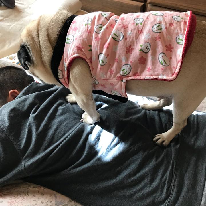 4ebc73a5 232f 46af b415 cee092ad1e0d 1515126957731